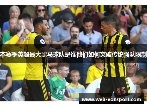 本赛季英超最大黑马球队是谁他们如何突破传统强队限制