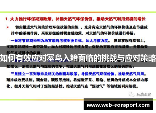 如何有效应对塞鸟入籍面临的挑战与应对策略