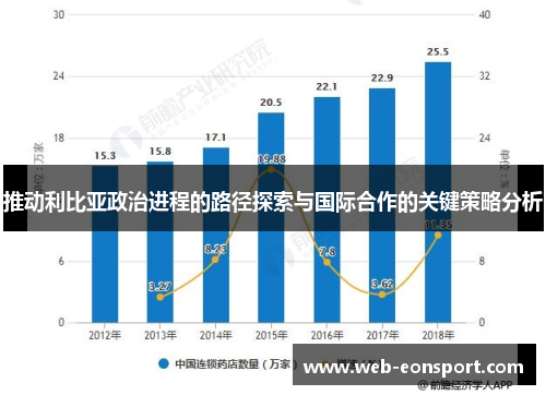 推动利比亚政治进程的路径探索与国际合作的关键策略分析