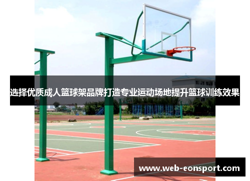 选择优质成人篮球架品牌打造专业运动场地提升篮球训练效果
