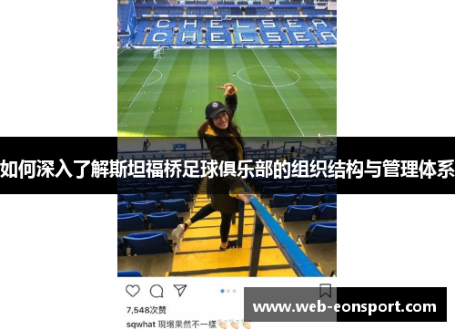 如何深入了解斯坦福桥足球俱乐部的组织结构与管理体系